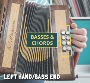 Know what type of melodeon you have: A photo of the left hand or bass end of a melodeon showing where the bass and chord buttons are